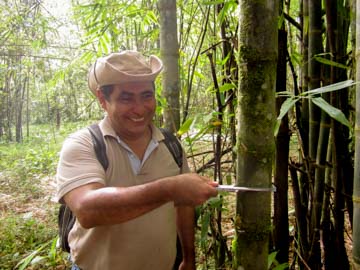 ReforestationRio Kama-Nicaragua