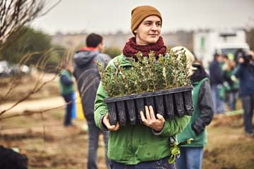 Klimaatproject + bomen planten1 t CO2 + 1 boom-Internationaal + Nederland