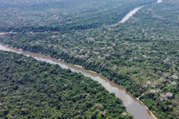 Forest protectionLábrea-Brazil