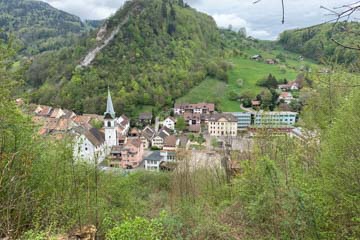 Projet climatique + plantation régionale d'arbres1 t CO2 + 1 arbre-International + Suisse